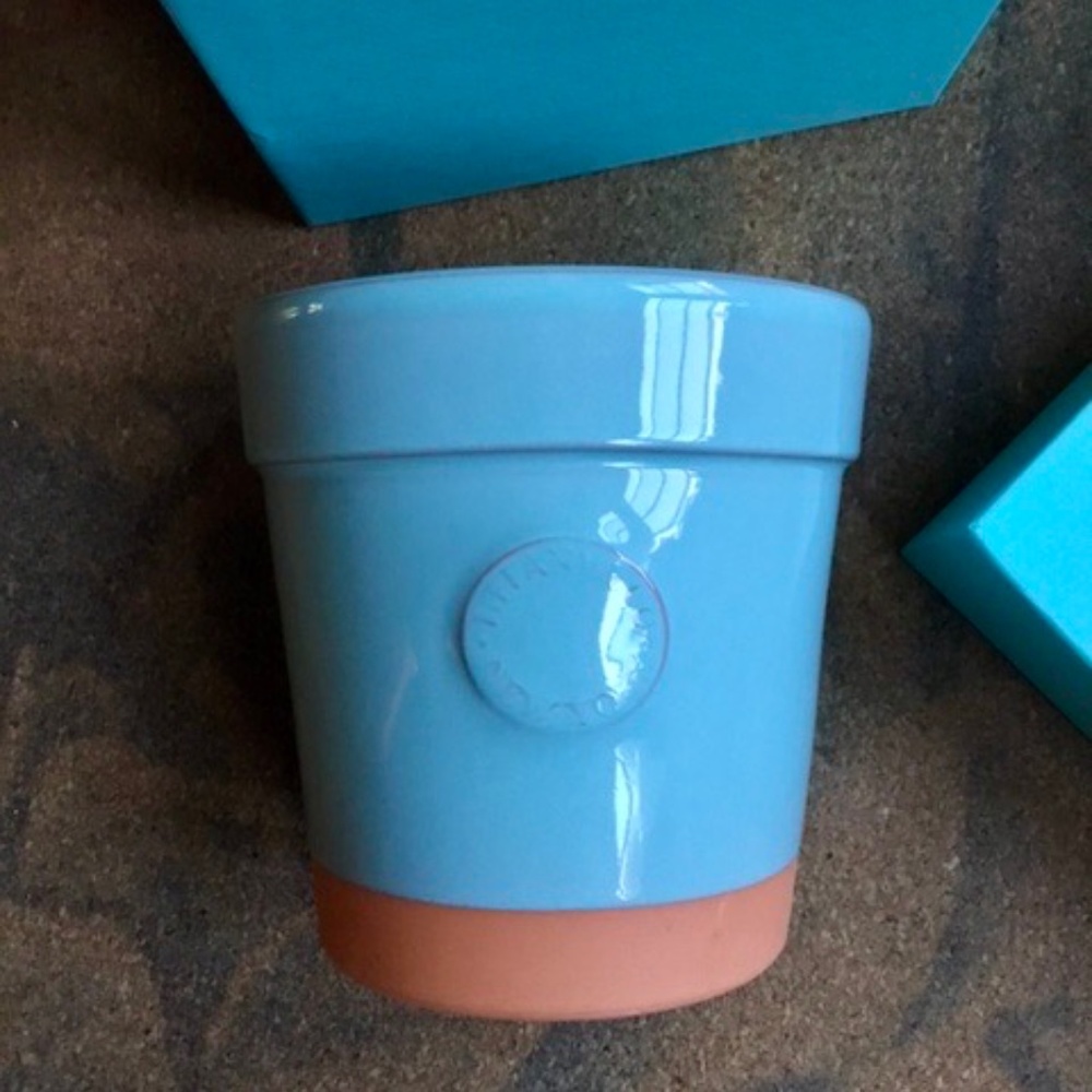 TIFFANY & CO. NIB Blue Flower Pot